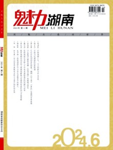 魅力湖南期刊